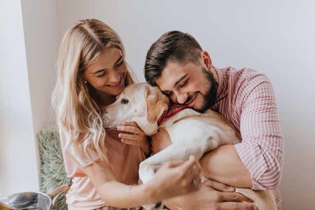How to show love to your pet?