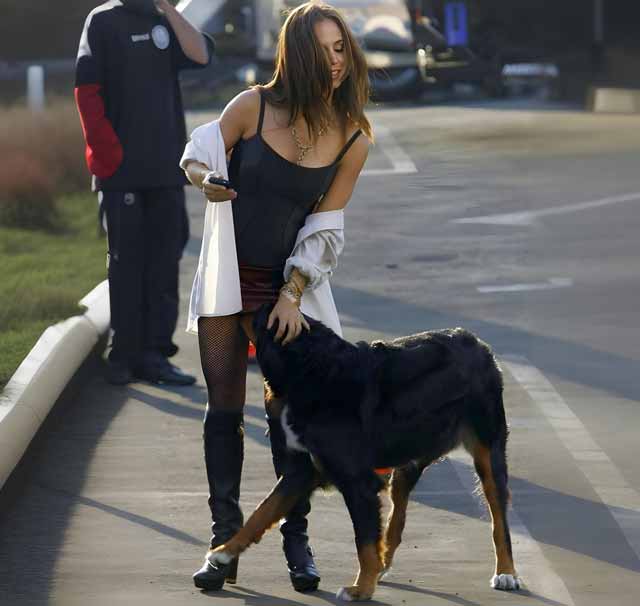 Is It Normal for Dogs to Sniff Our Bum?