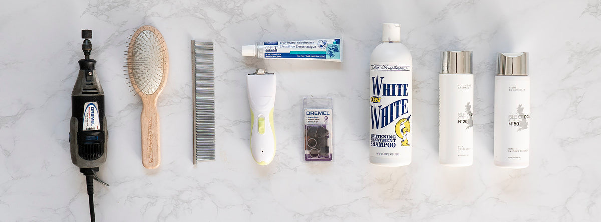Best De-Shedding Brush for Corgis: Top Picks That Actually Work